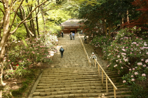 奈良散策記 その1 女人高野室生寺_b0118987_1852781.jpg