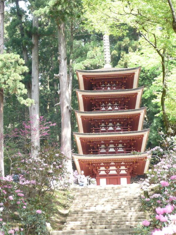 奈良散策記 その1 女人高野室生寺_b0118987_18543725.jpg