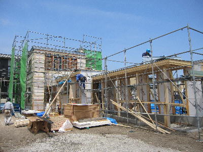 c0171889_1417544.jpg