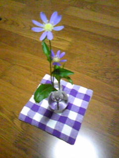 c0095091_23432410.jpg