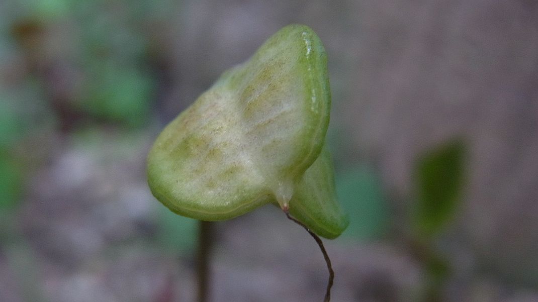a0152692_18273238.jpg