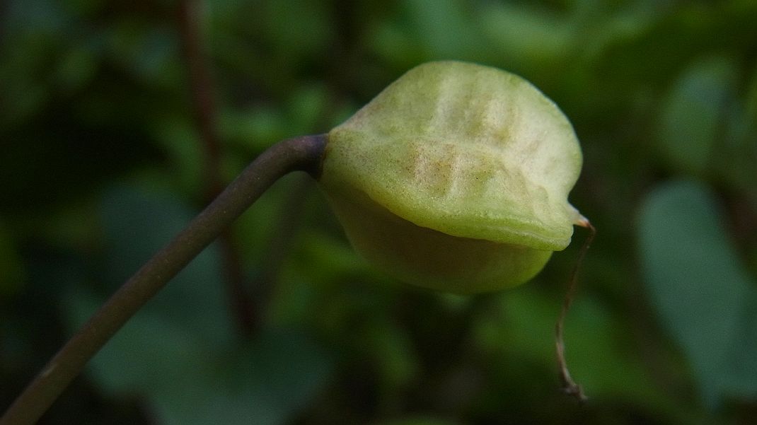 a0152692_1827886.jpg