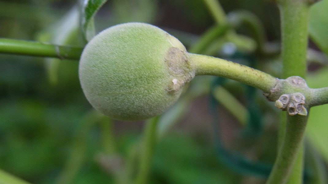 a0152692_1828133.jpg