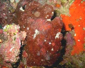 f0079996_1623110.jpg