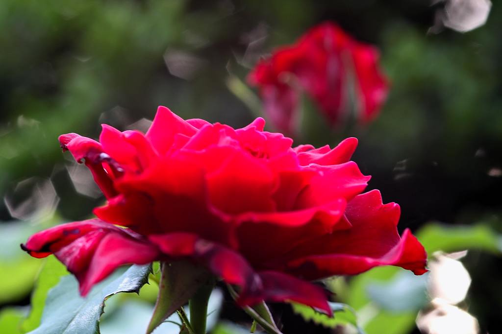 b0024798_4403210.jpg