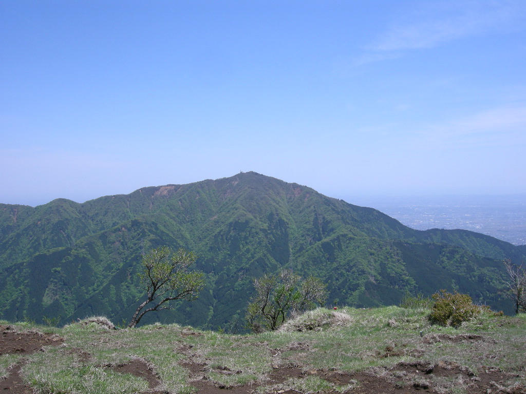 a0158802_03564.jpg