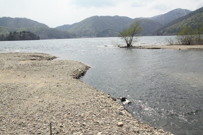 f0034602_21283983.jpg