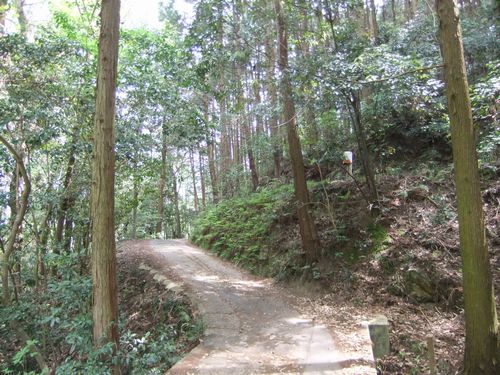 紫陽花にはまだ早い「矢田寺」で仏像拝観もままならず_f0120102_20543459.jpg