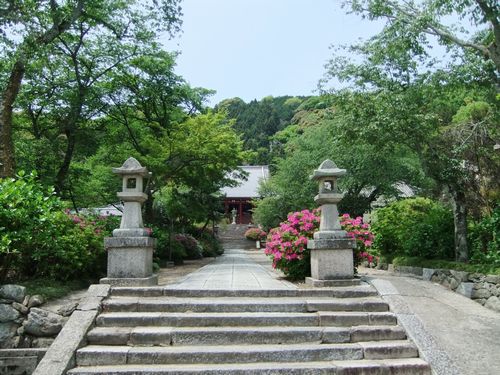 紫陽花にはまだ早い「矢田寺」で仏像拝観もままならず_f0120102_20584312.jpg