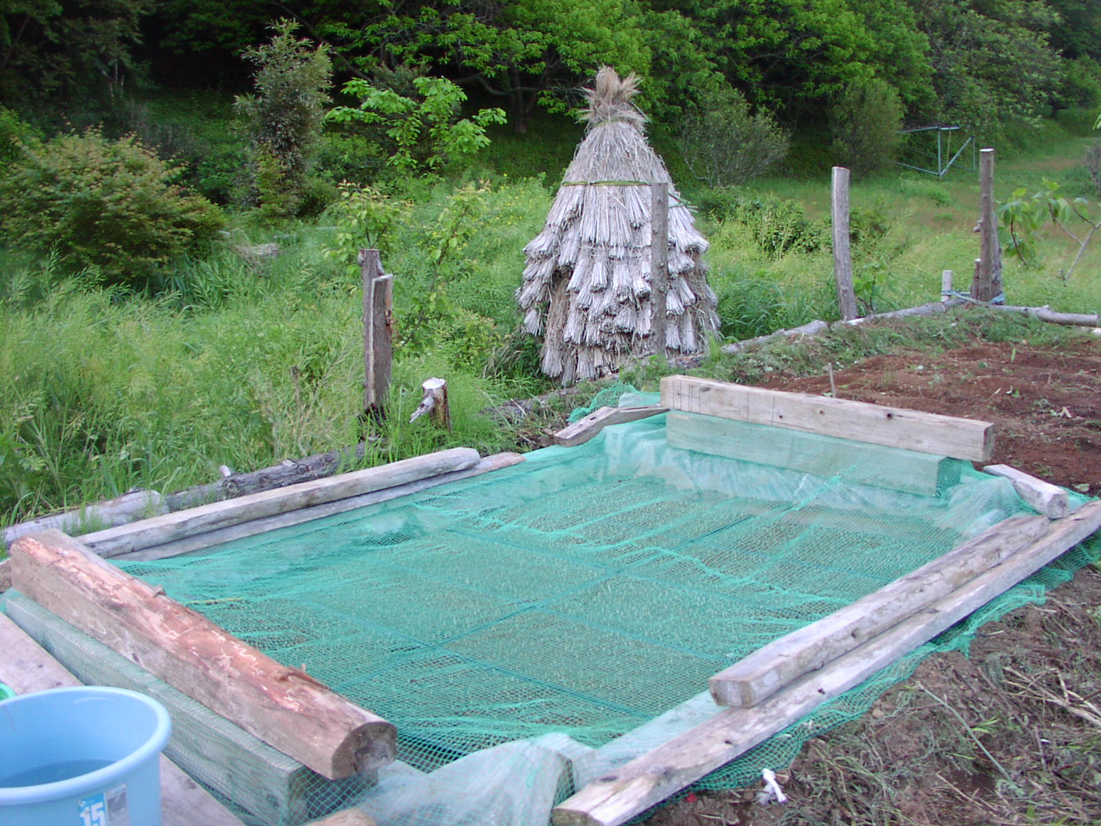 f0164410_11252316.jpg