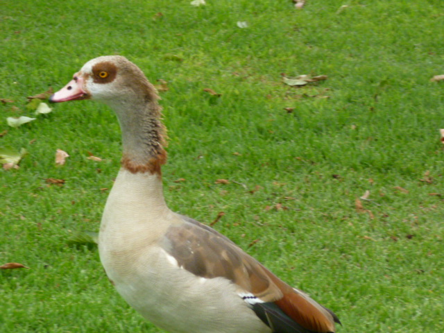 a0144811_173661.jpg