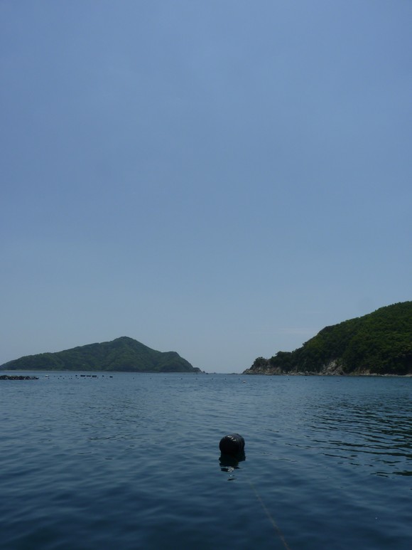 b0023911_20443430.jpg