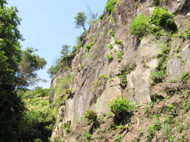 d0006512_2122742.jpg