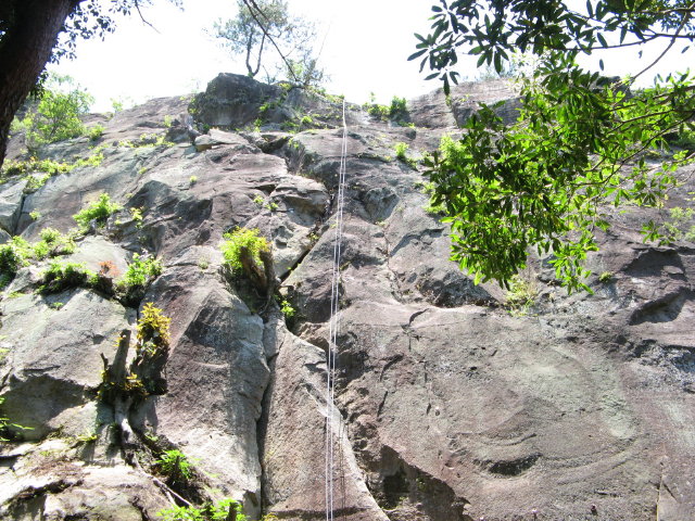 d0006512_21264857.jpg