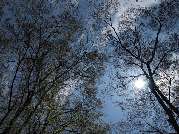 b0219214_12465179.jpg