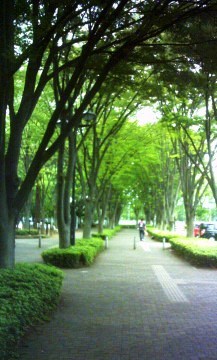 f0200114_159033.jpg