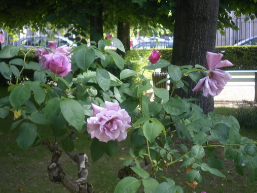 c0124619_2310117.jpg