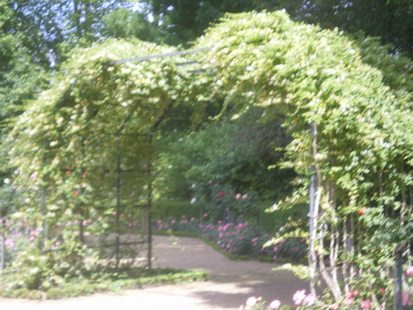 c0124619_23121644.jpg