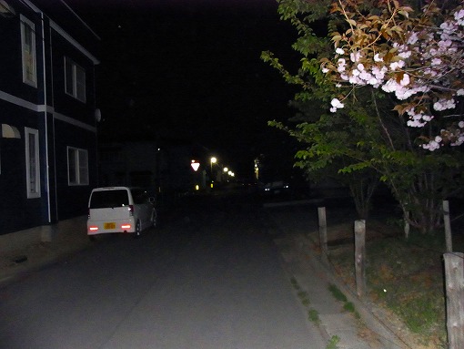 真夜中の帰り道_b0150120_1655834.jpg