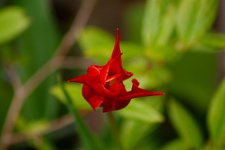 f0170524_15115450.jpg