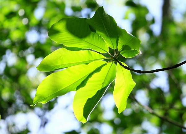 c0104227_85079.jpg