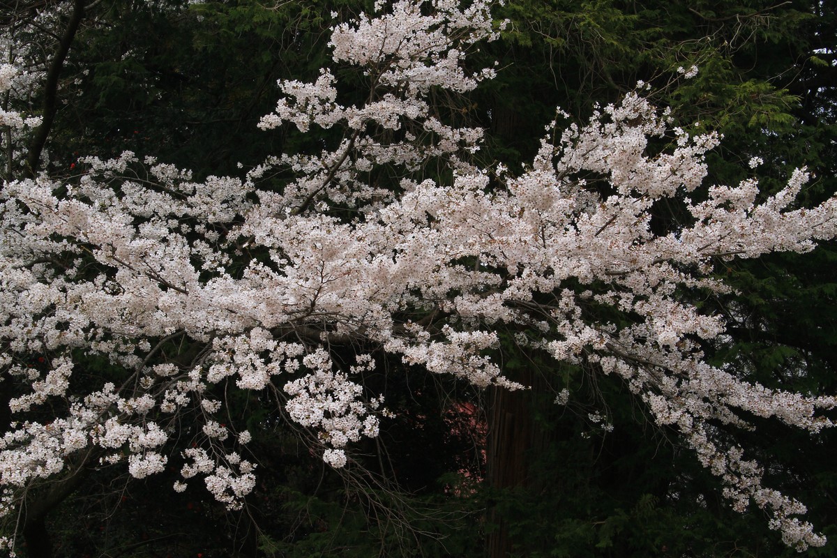 c0104227_95243.jpg