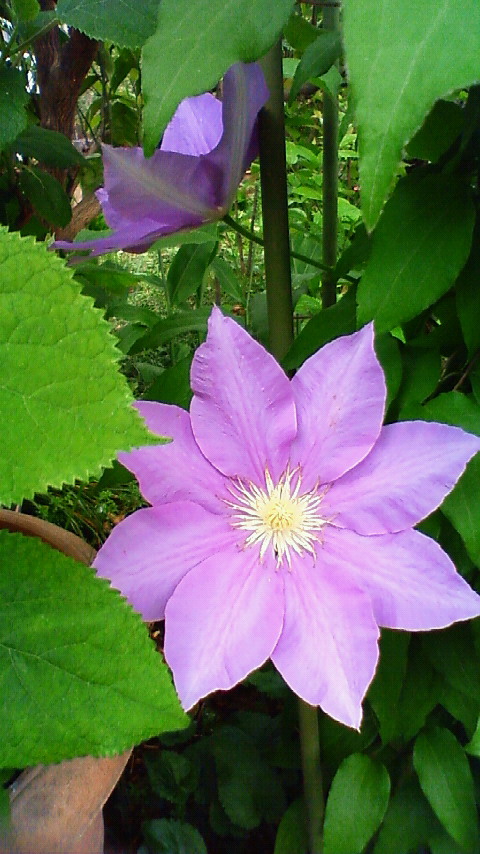 c0184427_2215289.jpg