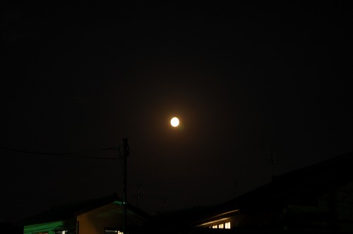 b0097729_2342023.jpg