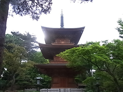 b0019140_14464528.jpg