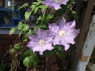 b0019140_1455771.jpg