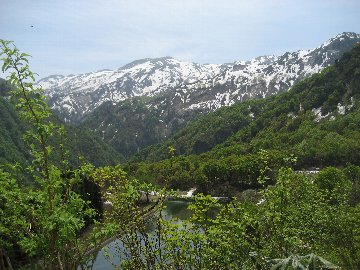 c0146040_20185391.jpg
