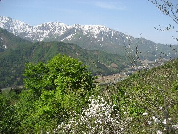c0146040_2023298.jpg