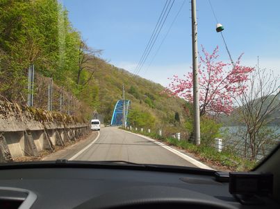 飛騨山中の桜巡りと険道ぶら～り・険道編_d0079440_20281823.jpg