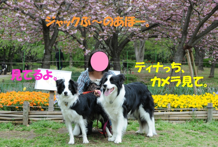 c0147241_23185170.jpg