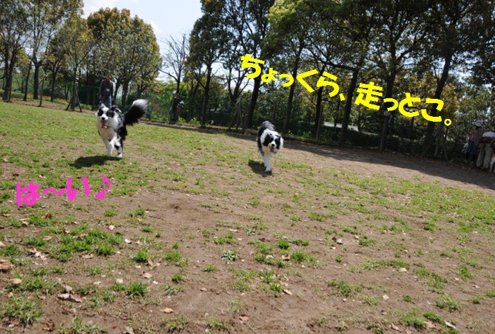 c0147241_2318521.jpg