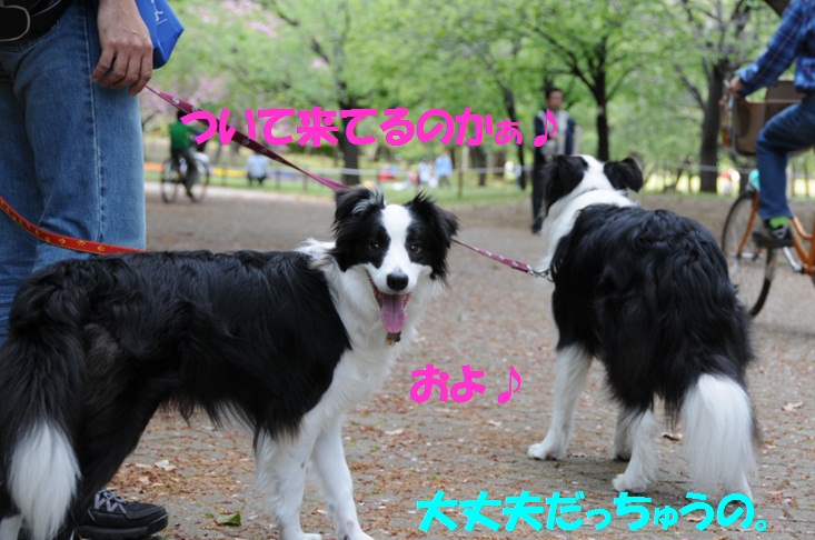 c0147241_2318561.jpg