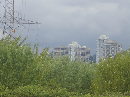 a0025444_9293626.jpg
