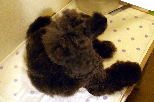 d0026745_12495666.jpg