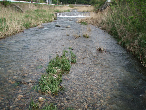 e0201348_5373666.jpg