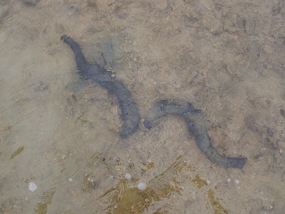 c0180460_23162090.jpg