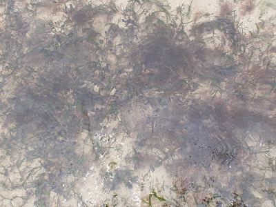 c0180460_2317950.jpg