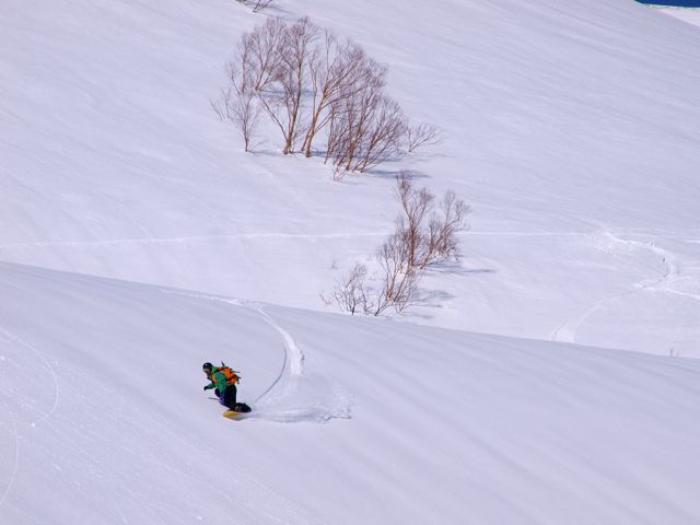 BURTON supermodel 51  バートン スーパーモデル　ボード