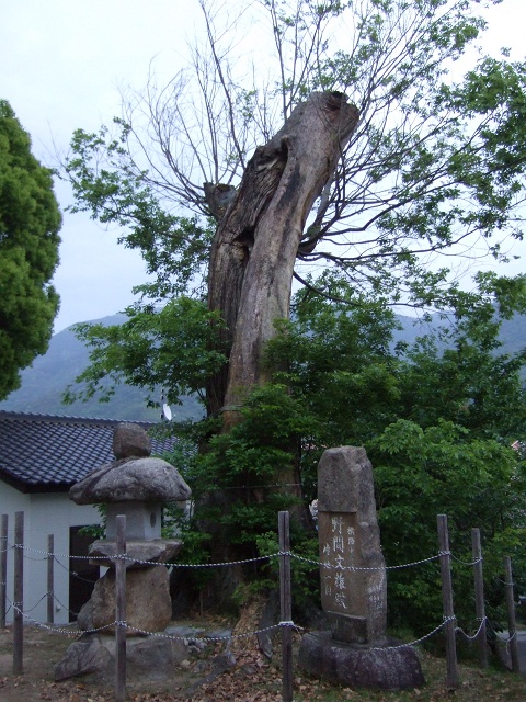 中野・大歳神社_b0095061_15505943.jpg