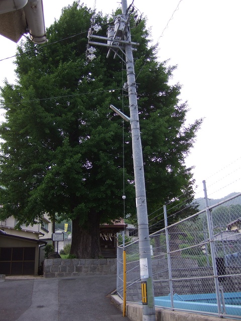 津村荒神社_b0095061_15575667.jpg