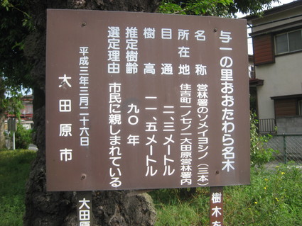 企画「大田原をもっと知ろう!」・・・その3、住吉町①。_b0063162_2329727.jpg