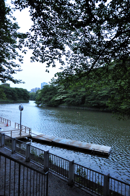 雨もよいの千鳥ヶ淵綠道を再び歩いて新しい発見_a0031363_331057.jpg