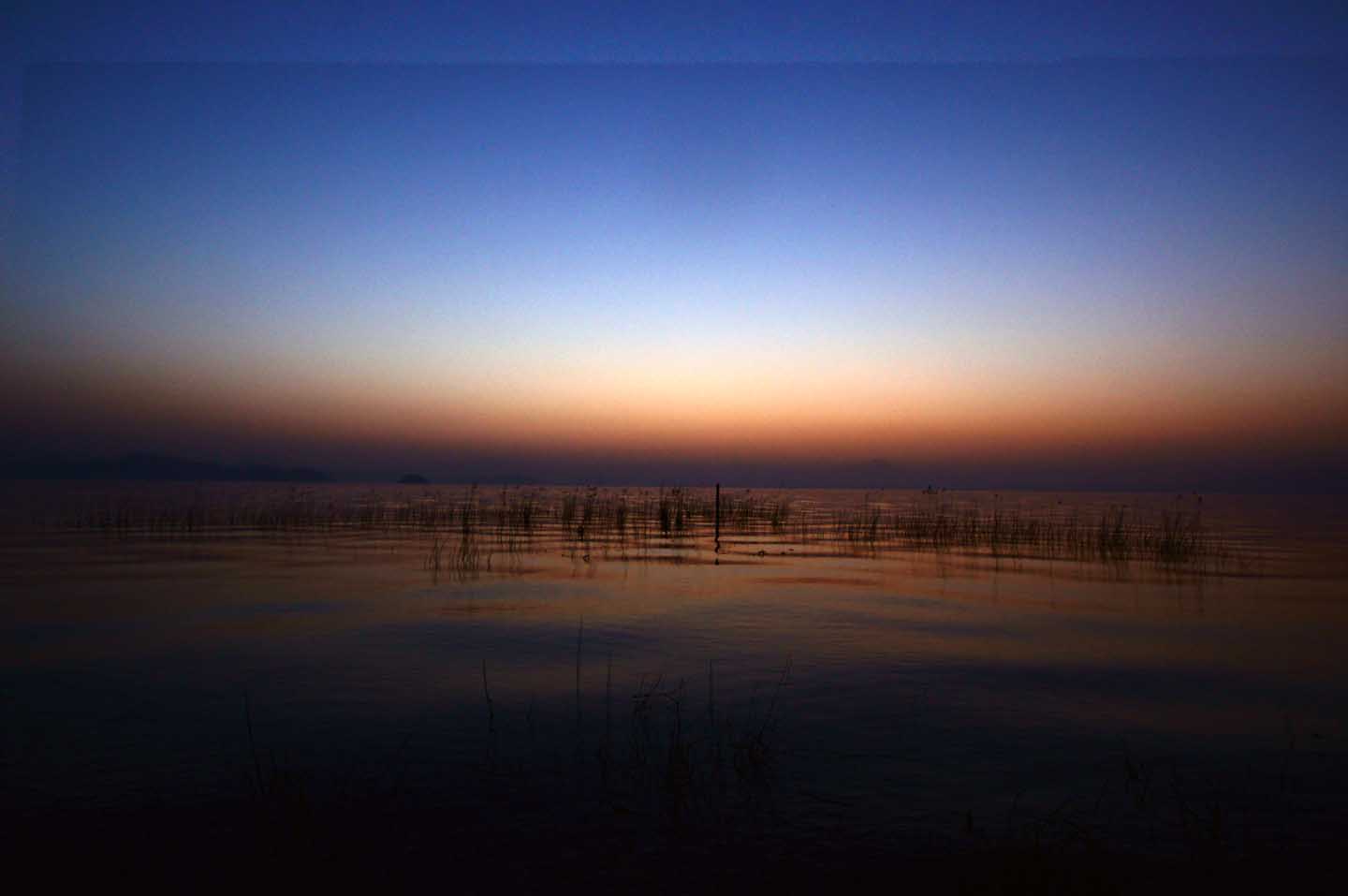 e0019563_7394324.jpg
