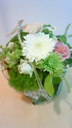 e0200269_1716893.jpg