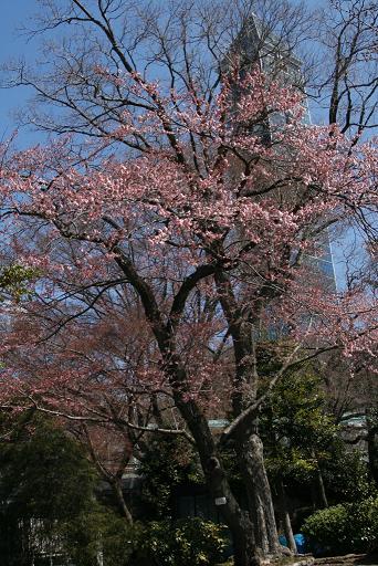 動物園_b0146276_2237828.jpg