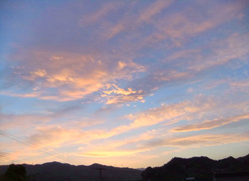 f0128076_80179.jpg